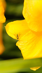 Green Building Buzz